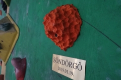 fogas8