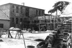 P. Ányos