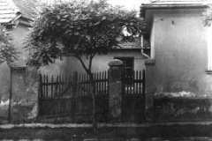 P. Ányos