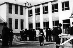 P. Ányos