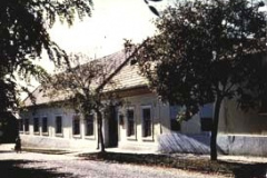 P. Ányos